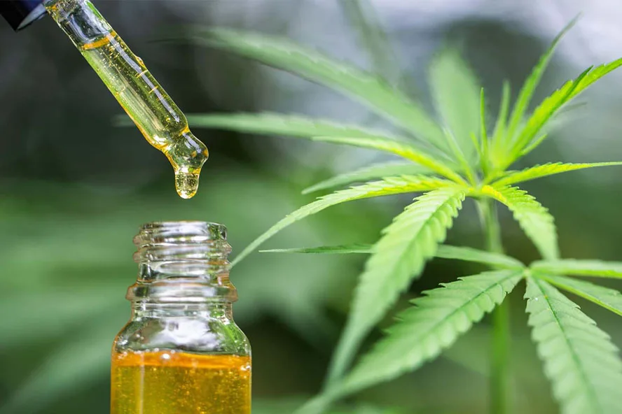  Конопляное масло каннабидиола конопляное КБР 30 мл 750 мг полноспектральное cbd-масло 100% Органическая индивидуальная торговая марка для боли Каннабидиола конопляного масла cbd полный спектр органический поль
