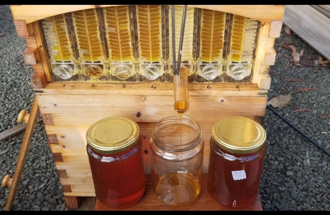 Auto Flows Hive Frames 7pcs/carton BPA-Free only Flows Frame