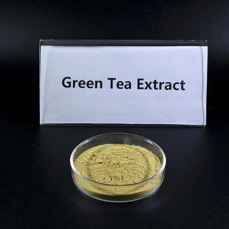 100% Natural Herbal Extract Green Tea Leaf Extract Instant Water Soluble Powder