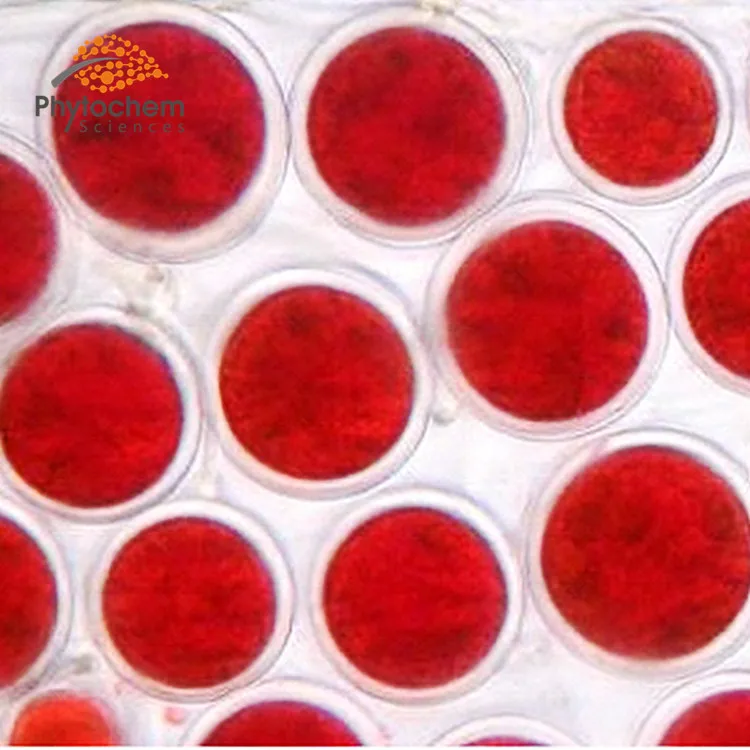 
Pure Natural Astaxanthin Powder/ Haematococcus pluvialis Extract 5% Astaxanthin by HPLC 