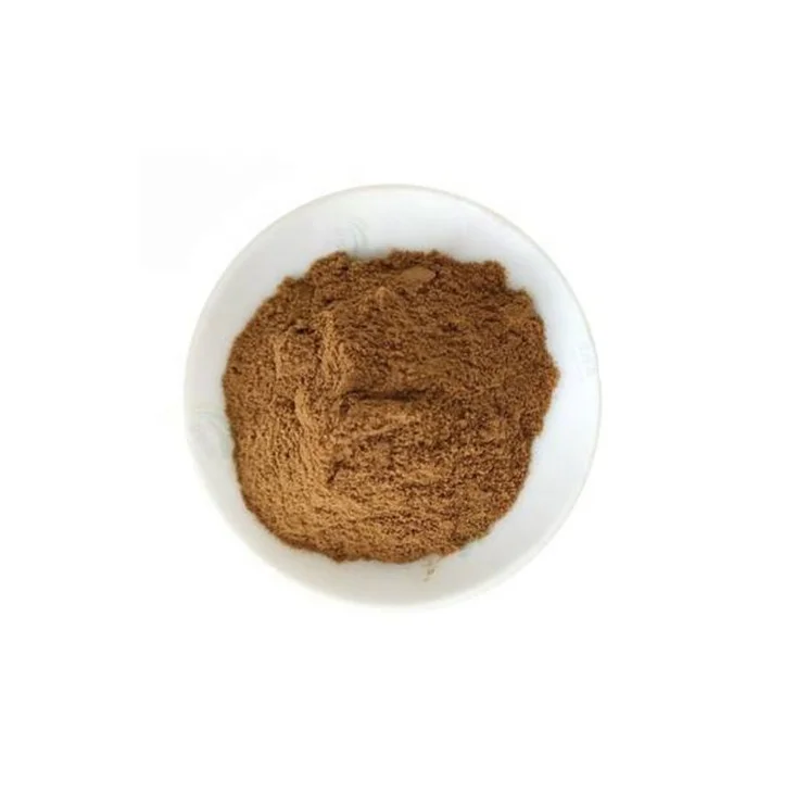 High Quality Natural Ligusticum/Chuan Xiong Extract Powder in Bulk