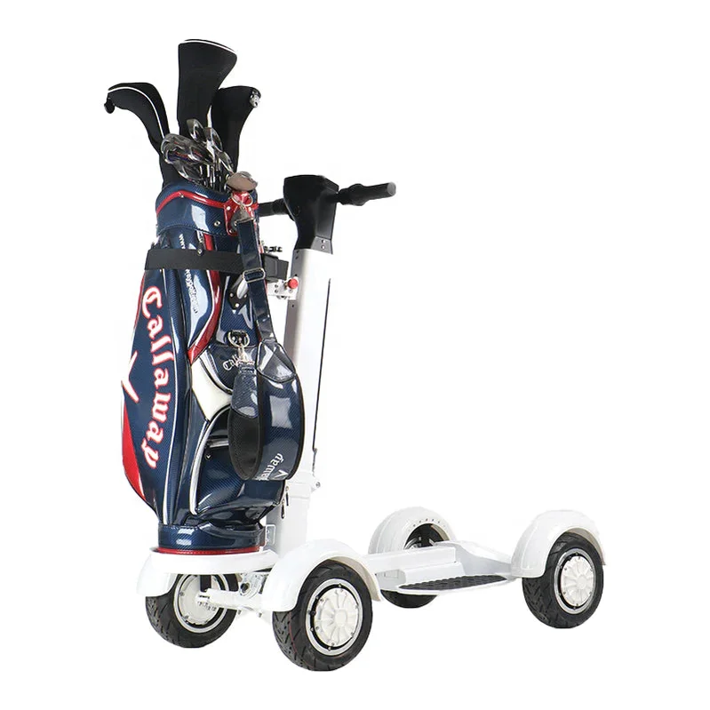 us/eu warehouse Adult 2000W 10 Inch Four Fat Tyre Tire Foldable 4 Wheel Electric Golf Cart Scooter 48v10ah 20ah lithium battery