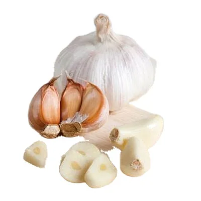 
Chinese Best White Garlic for cooking 