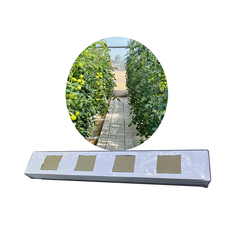 hydroponic growing systems indoor  tomato green house hydroponics slabs
