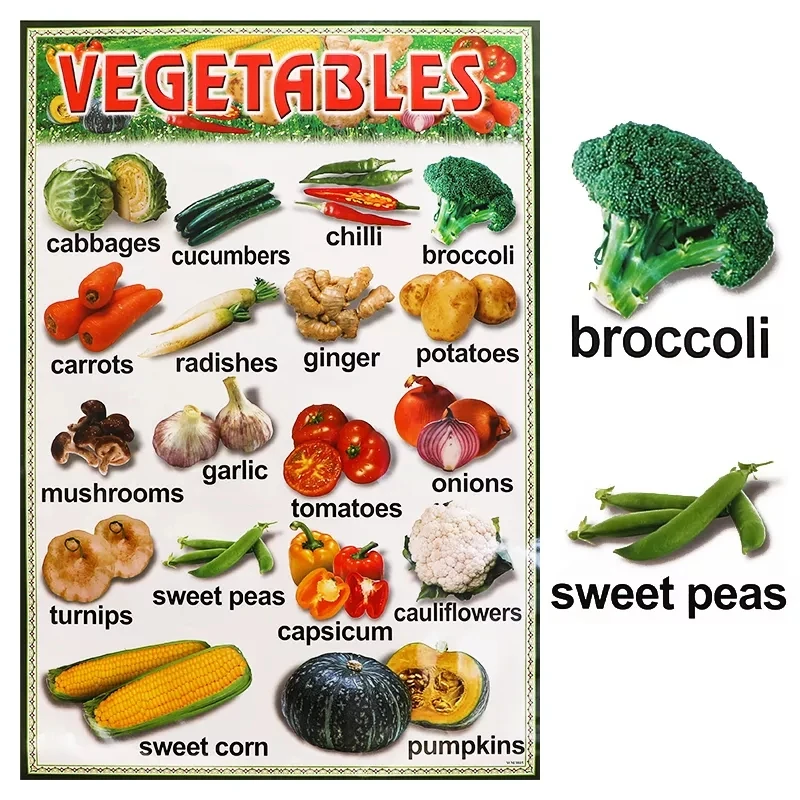 Custom Education Poster Learning Alphabet Number Weather Arithmetic Poster For Kids