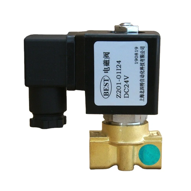 Valve Z201 z211 Brass 100bar 2 Way 1/4 1/8 Inch DC AC 12V 24V 220V 110v high pressure 220 volt solenoid valve