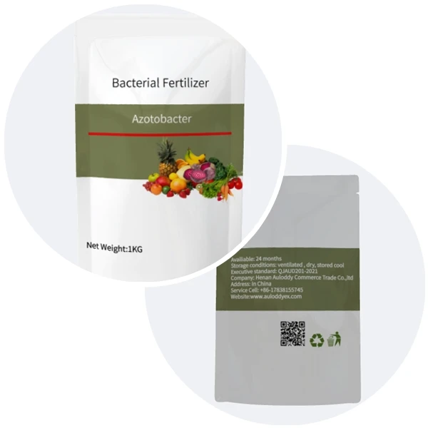 bio fertilizer azotobact Bacillus mixed azotobacter rhizobium china supplier