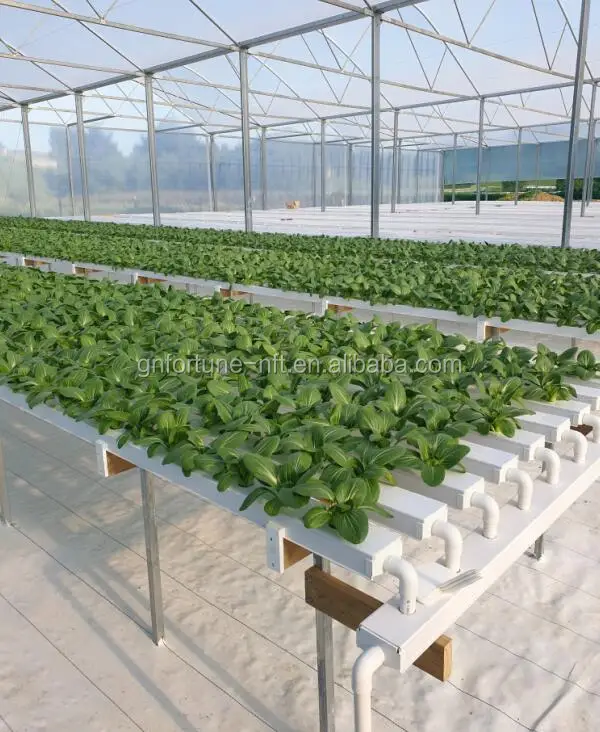 China factory Hot Sale Pvc Channel Hydroponic Nft Growing Systems