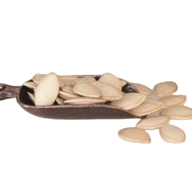 Hot selling good quality Chinese price export pumpkin seeds for sale