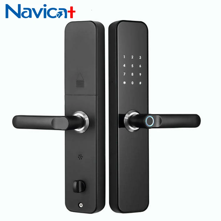 High Quality Keyless Electronic Tuya Wifi App Ttlock Biometric Fingerprint Password Digital Smart Lock For Home