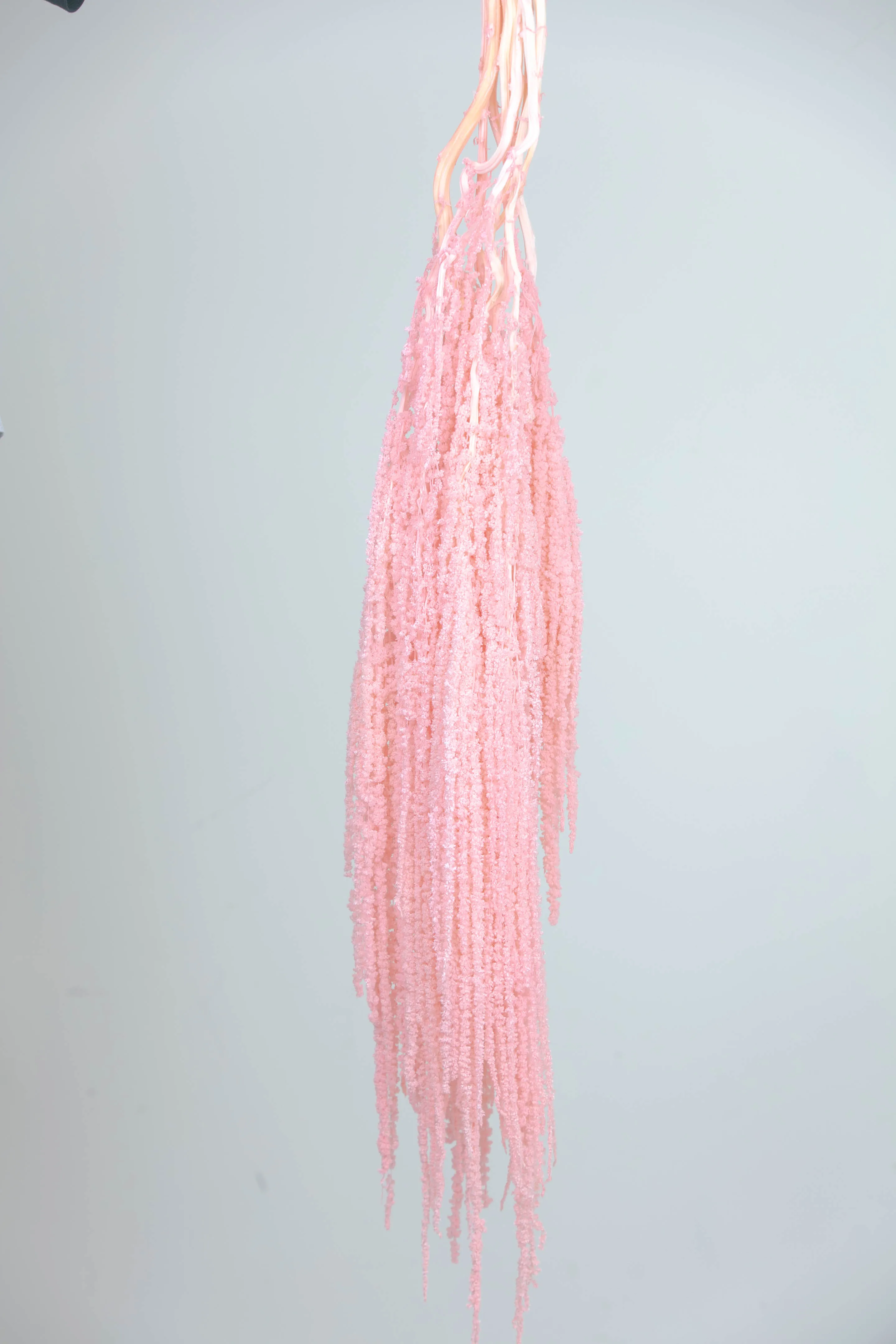 Moon Yu  Wholesale Hot Sell 100g/Bunch Natural Preserved Dried Amaranth Flowers Amaranthus Hanging Flowers