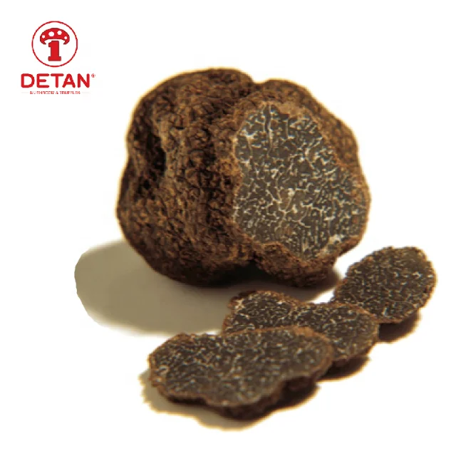 Detan Export Premium Edible Mushroom Truffles Mushrooms