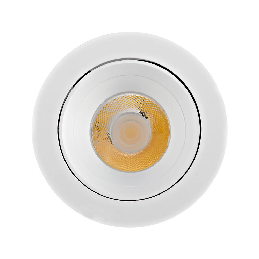 Modern Design Ceiling Recessed Down Light Spot Adjustable Cob CRI95 High Lumen 30W LED Down Light