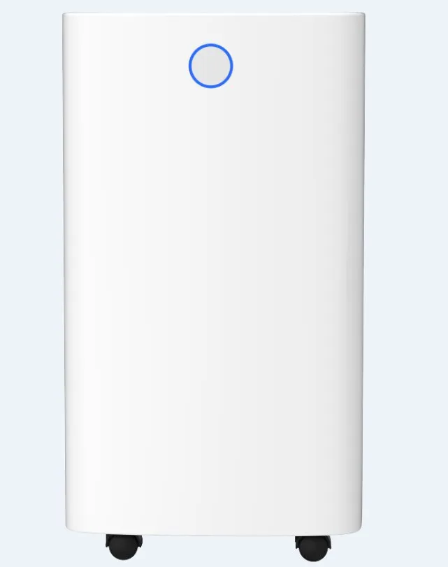 2024 Best Sale Mini Dehumidifier with LED Display Automatic Defrost Small Dryer for Wet Weather for Hotels Cars Households RVs