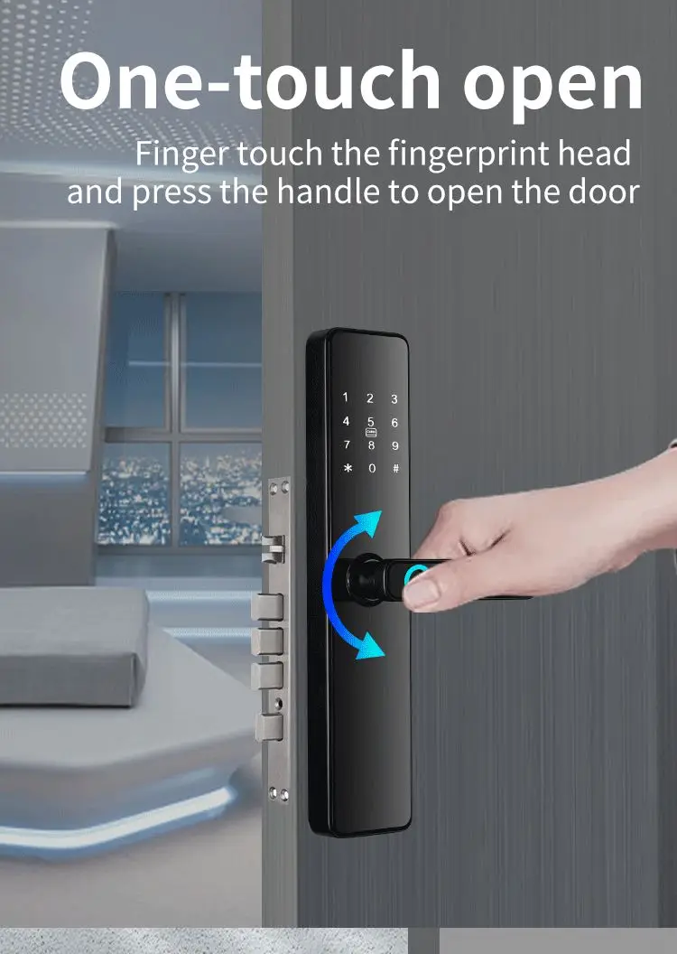 QLEUNG Smart locks S819 tuya ttlock app control unlocking with fingerprint password card and Key digital wifi door Lock