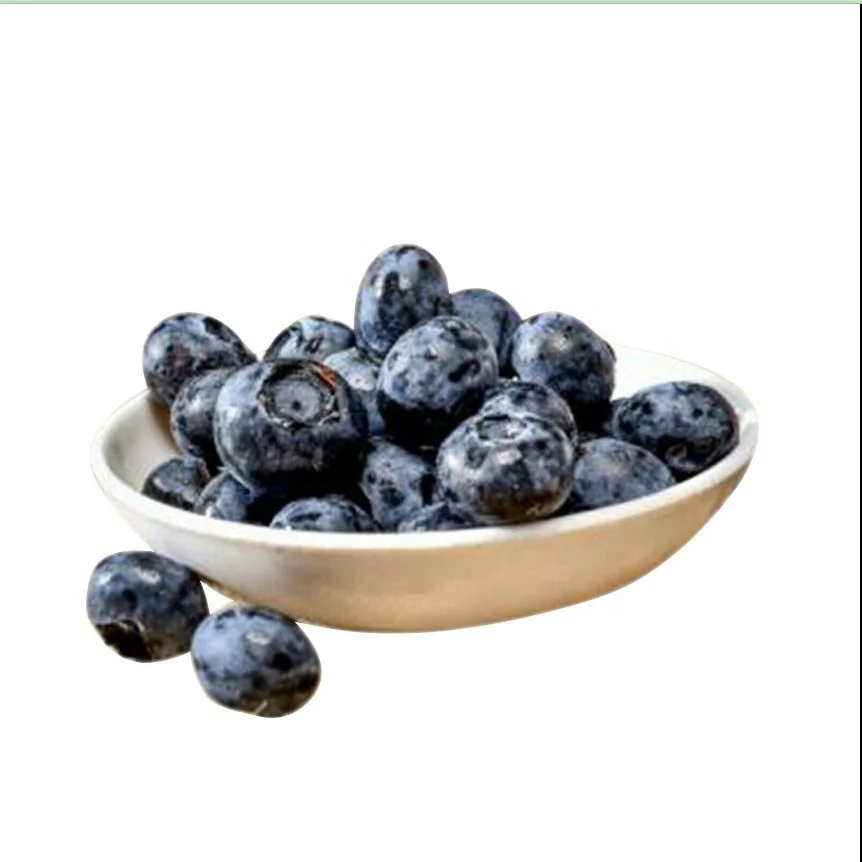 artificial Lifelike Mini Blueberry Fake Decorative Blueberry Fruit