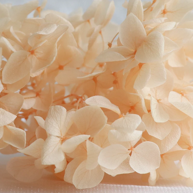 Factory wholesale preserved flower real natural stabilized hydrangeas