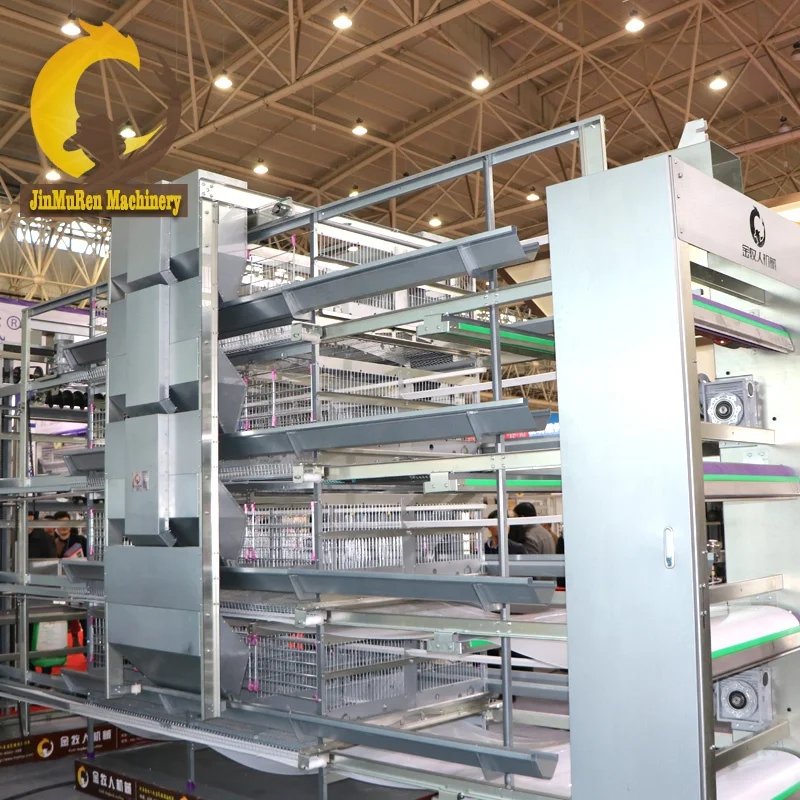 Jinmuren Factory Making H Type Chicken Farming Equipment with Automatic Feeders Drinkers for Laying Hens