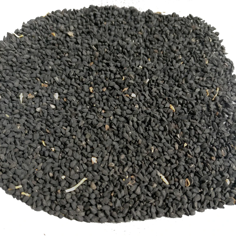 Hot sale Wellness Naturals herbs Kalonji Black seed Nigella sativa black cumin Xiangheizi health benefits