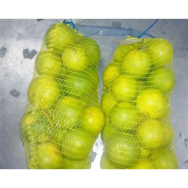 Wholesale strong packing raschel mesh bag pp plastic bag for vegetables