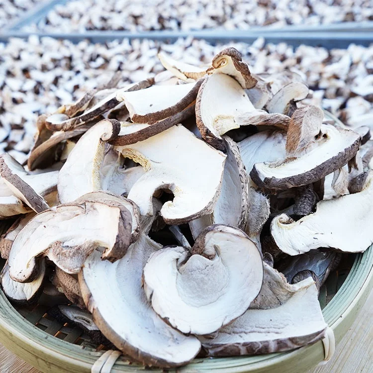 Cultivated High Quality Dried Shiitake Mushroom Slice