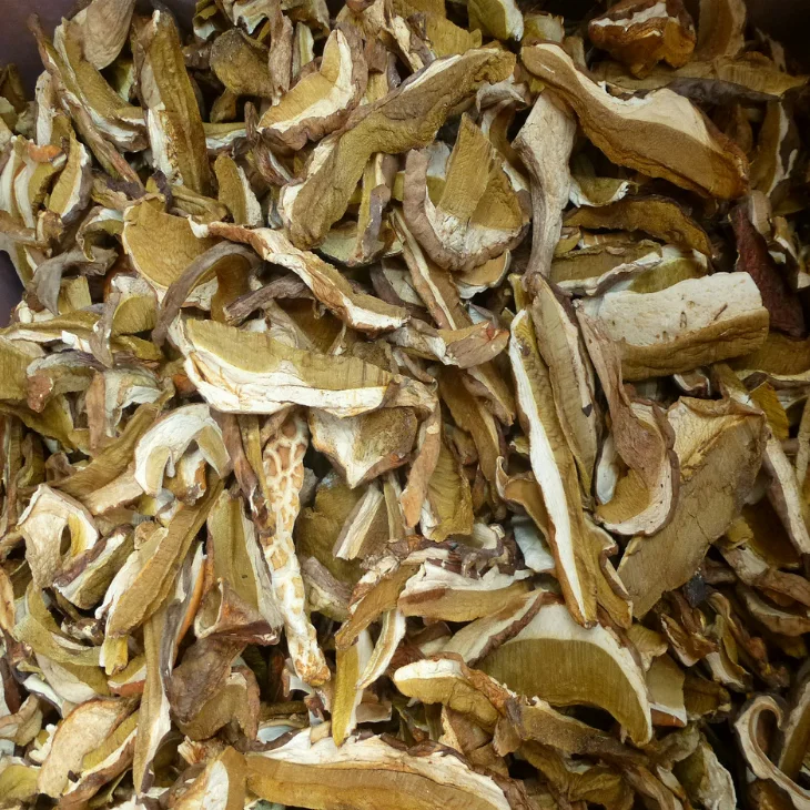 
Factory Price Premium Quality Bulk Dry Funghi Porcini Mushroom without Stem 