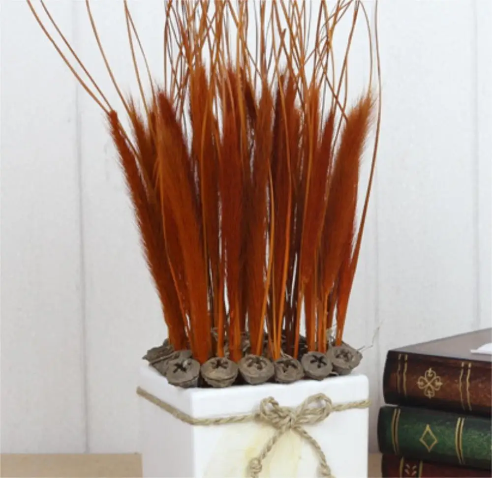 Dried natural Chinese pennisetum grass cat tail wolf tail feather grass, home decoration, floral arrangement