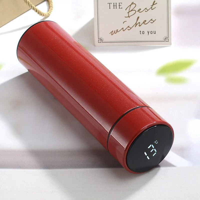 Smart Water Bottle with LED Temperature Display Tea Infuser Tumbler Cup Travel Coffee Mug 17oz/500ml Insulated Thermos Flask