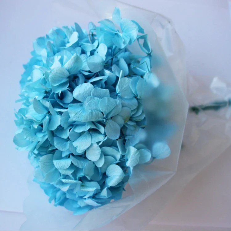 Factory wholesale big leave preserved hydrangea flower for wedding home decoration