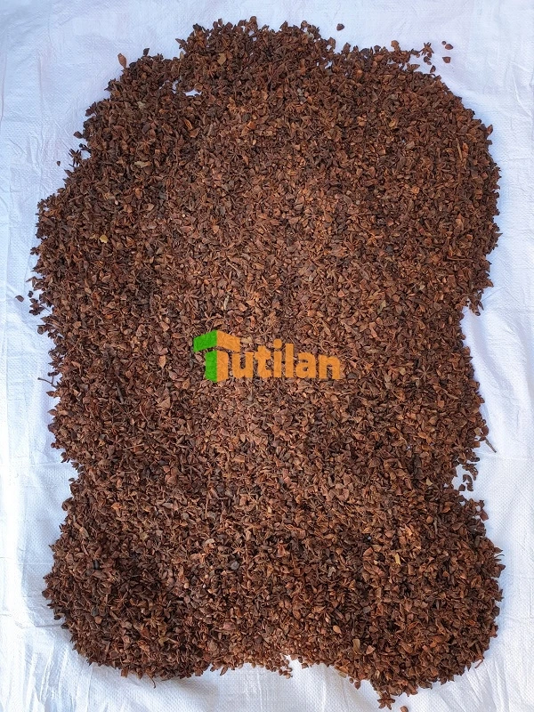 Оптовая продажа с завода самая низкая цена и лучшее качество специи приправы семена вьетнамского аниса