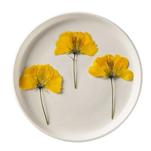 12 шт./упаковка, эпоксидная смола