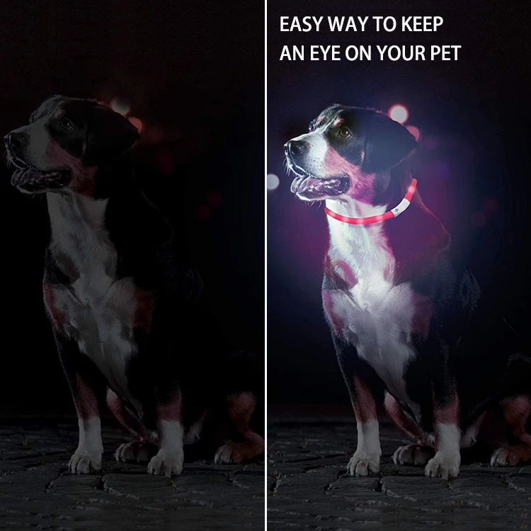 Waterproof Adjustable Light up Necklace Led Dog Collar for Dogs COLLARS Keep Your Pet Visible in Darkness USB Rechargeable 12pcs