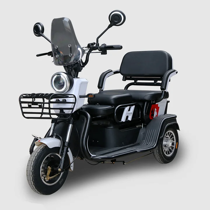 EEC 3 Wheels Handicapped Electric Tricycle for Adults