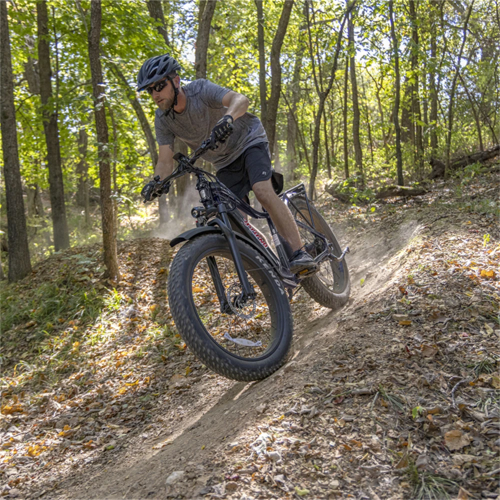 Original 750w Motor E Bike Shimano 10 Speed Electric Bicycle Fat Tire Electr Bike Cruiser Ebike