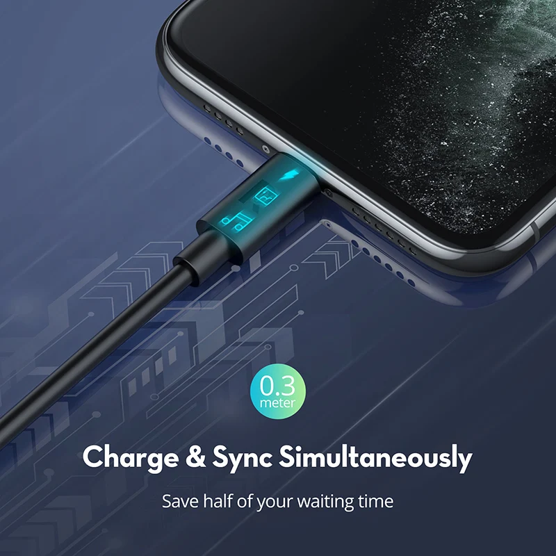 RAVPower Black+PE BAG RP-CB062 Data Cables 1m TPE Type-C to L Type C Cable Phone Fast Charging Cable for iphone