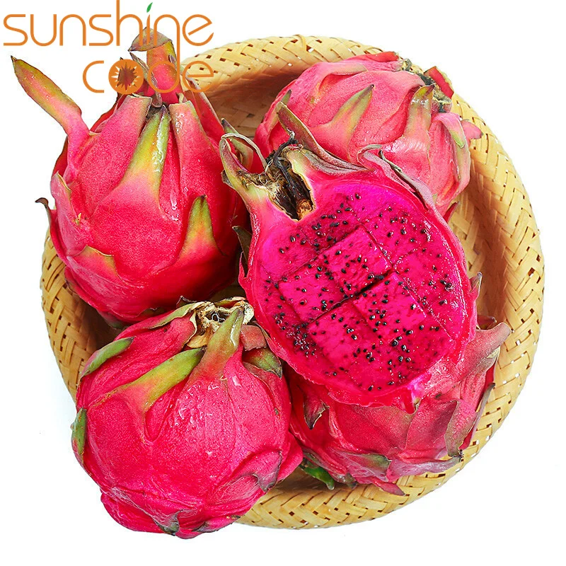 Sunshine Code fresh red dragon fruit dragon fruit good quality cheap red dragon fruit