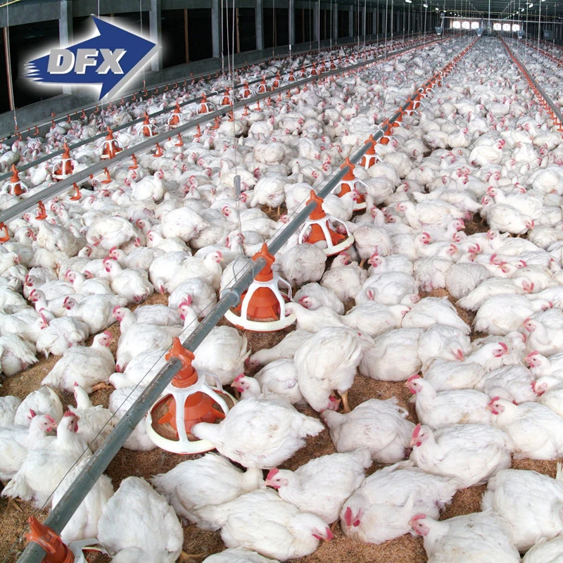 Low Cost Prefab Steel Structural Chicken Cow Pig Cattle Dairy Farm Building House Sheds Ready Made Poultry Farm Design