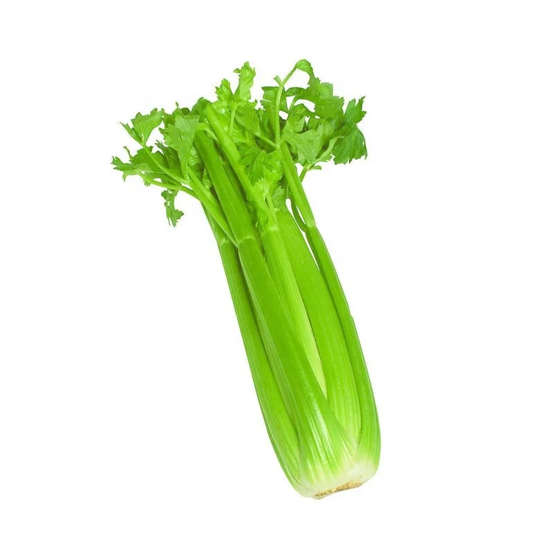 Large wholesale of fresh Celery   Parsley