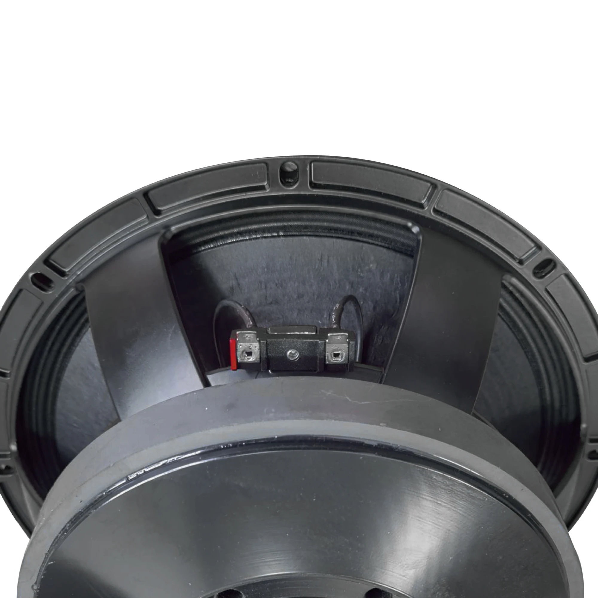 Accuracy Pro Audio 12BCM100 10 Inch Professional Woofer Can be paired with Wooden Speakers Line Array Speakers