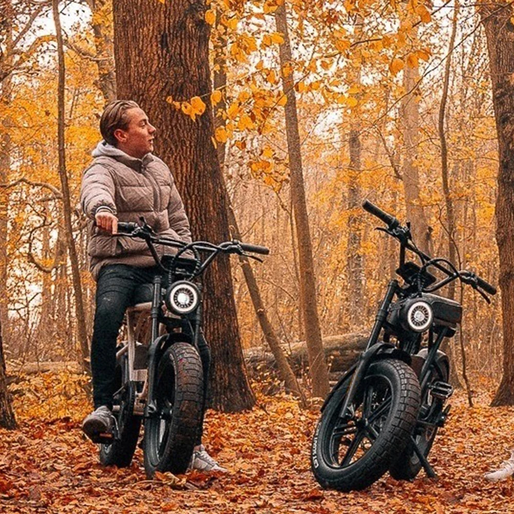 Cheap Price 1000W E Bike 48V Electric Bicycle