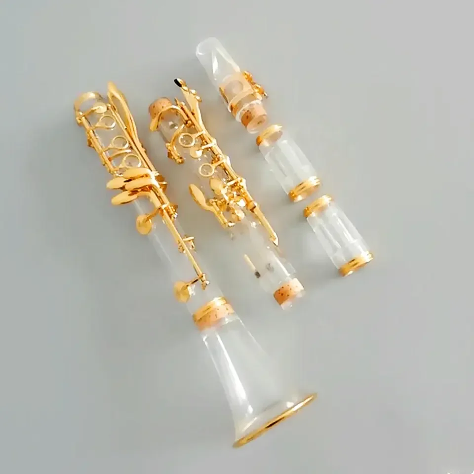 Extremely competitive price standard acrylic transparent clarinet 17 keys gold plated instruments