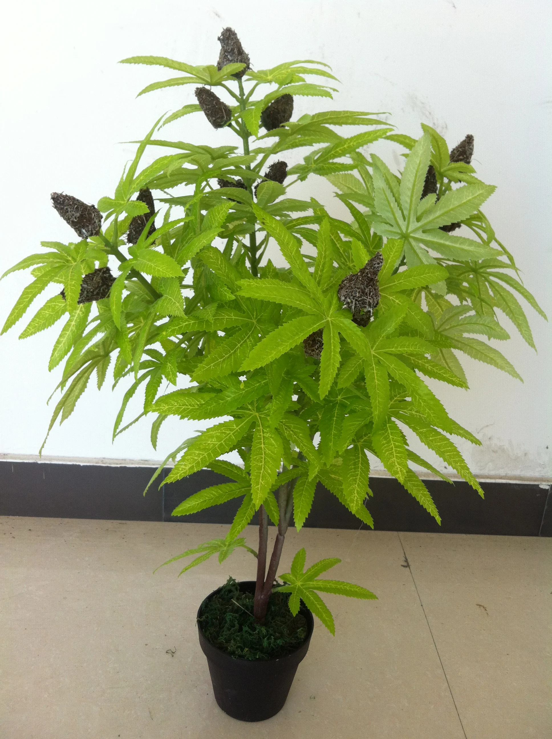 Wholesale Artificial cannabis plant plastic cannabis plant