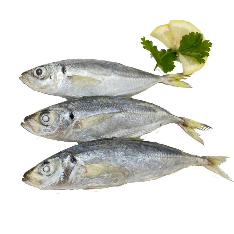 Новый сезон Китай происхождения замороженная круглая Скумбрия Рыба по конкурентоспособной цене