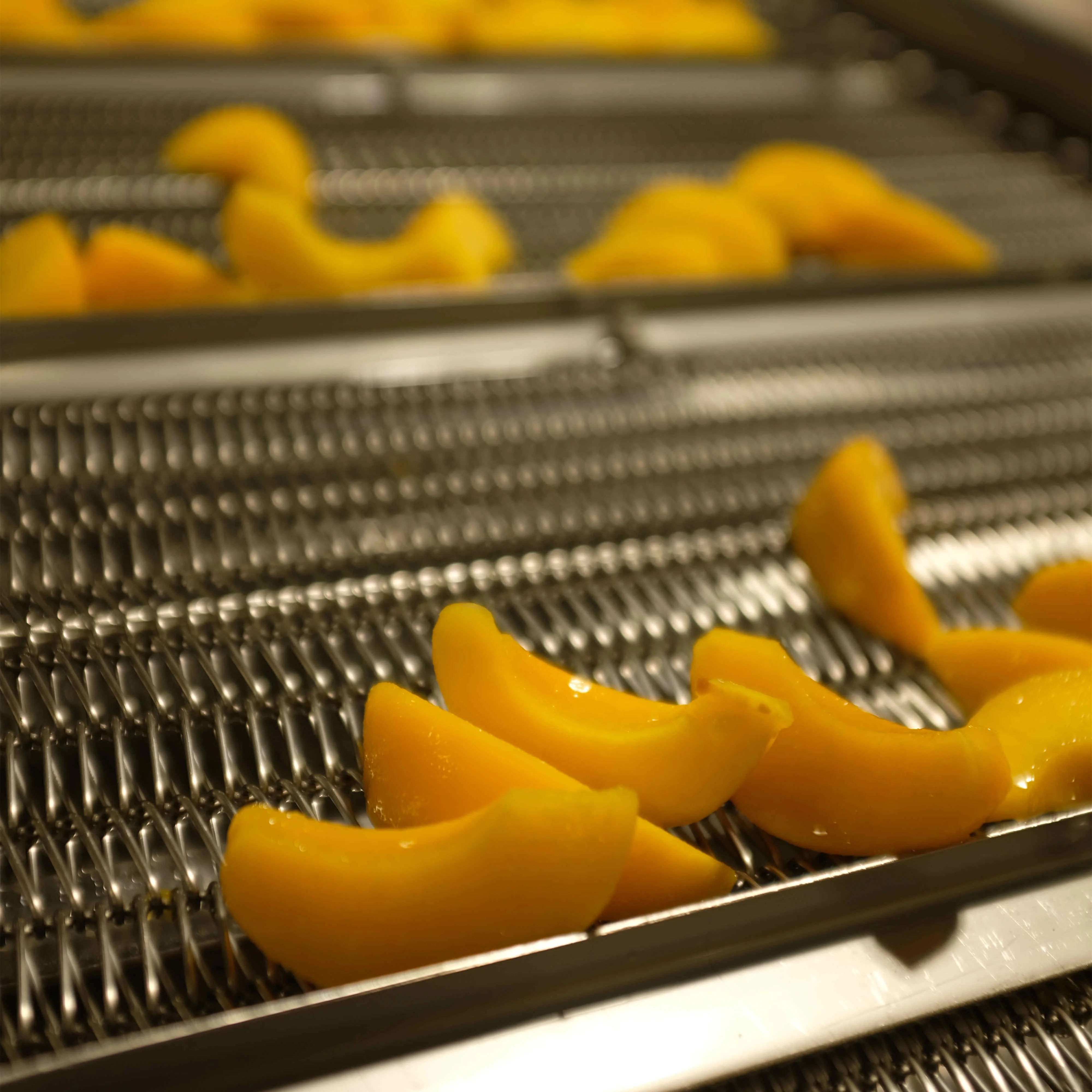 198g/7oz Factory Direct Supply Plastic Cup Canned Yellow Peach in Light Syrup