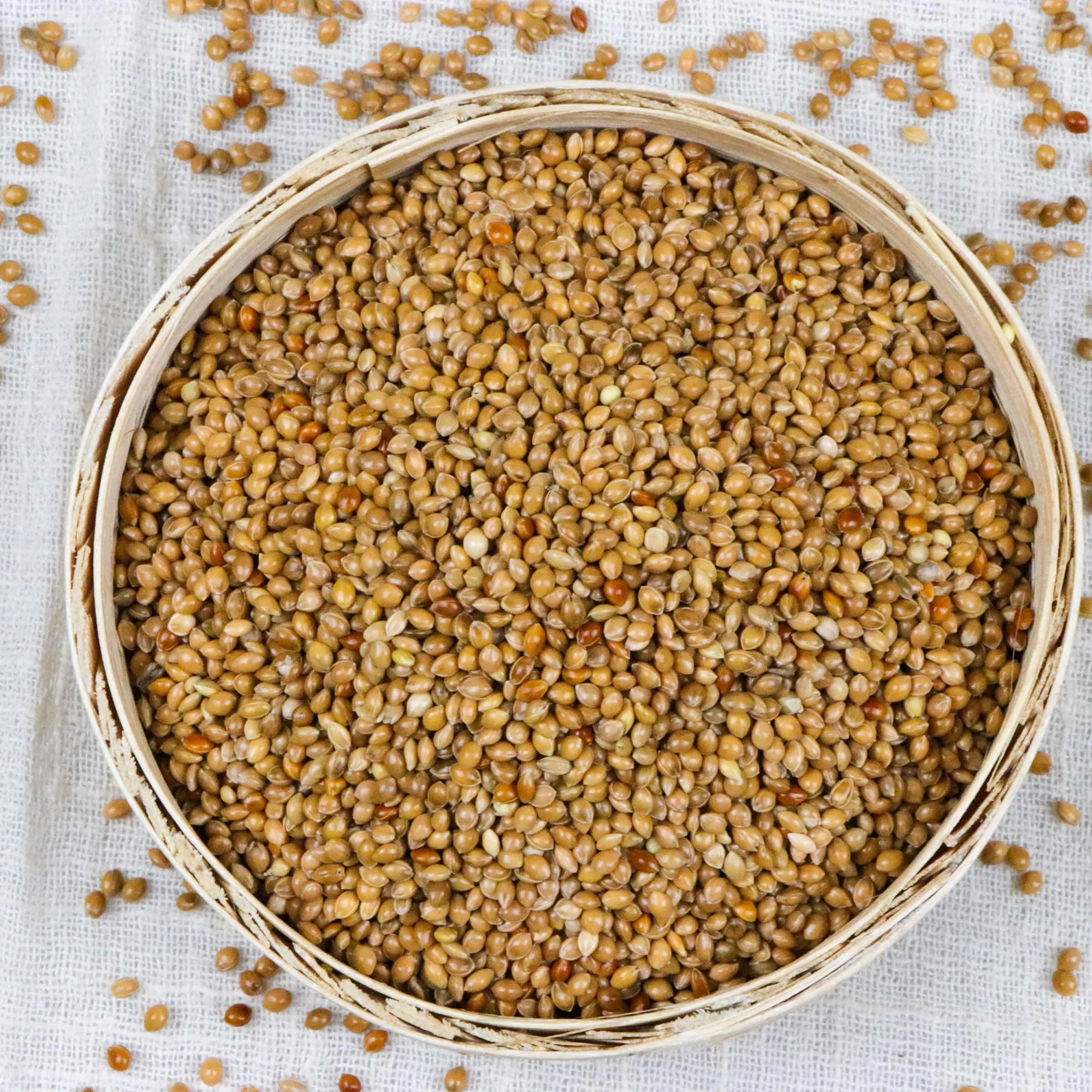 
Broom Corn Millet Yellow Millet for Bird Feed 10 Days Delivery Glutinous Floured Organic Dried AD 
