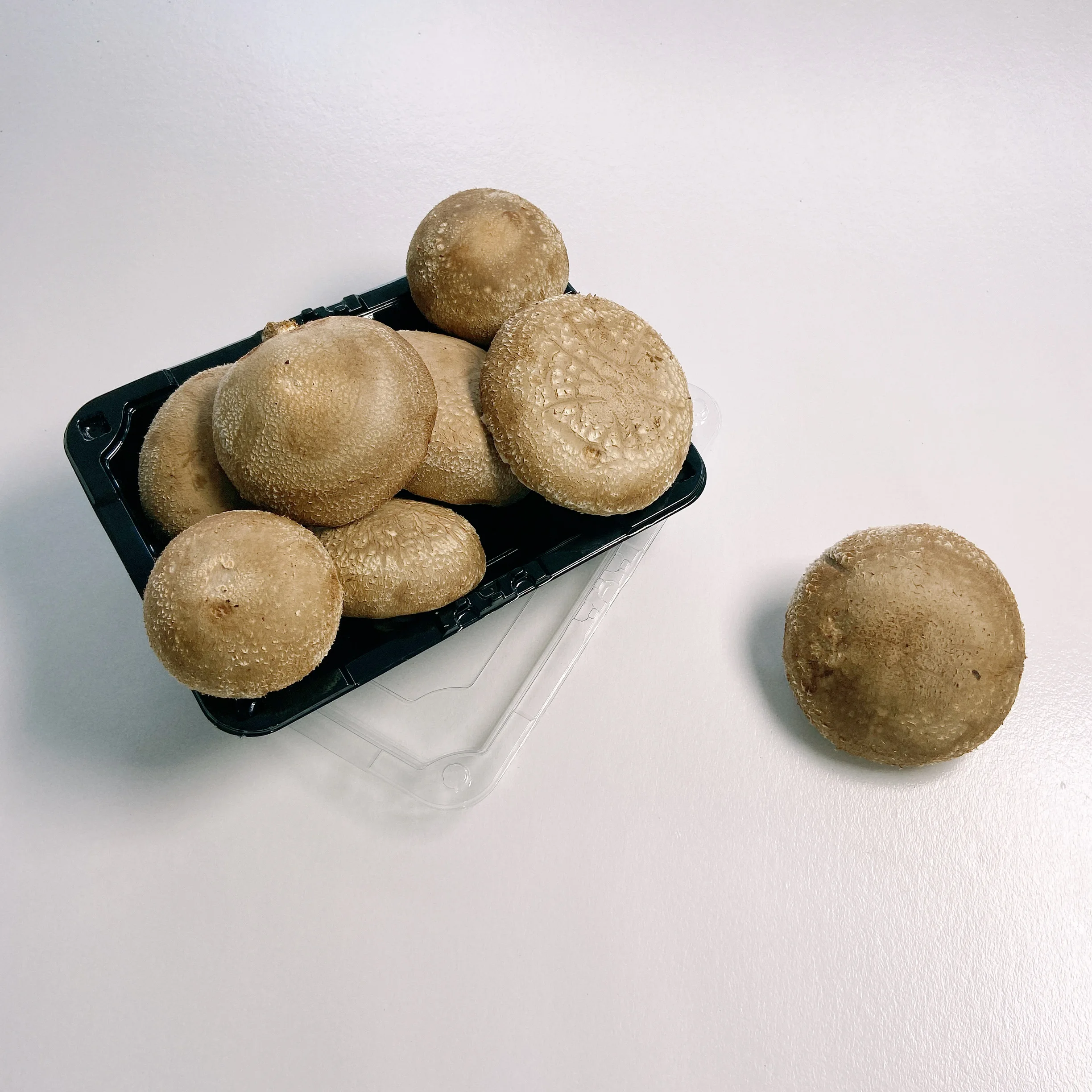  Оптовая продажа большие вкусные свежие грибы шиитаке премиум