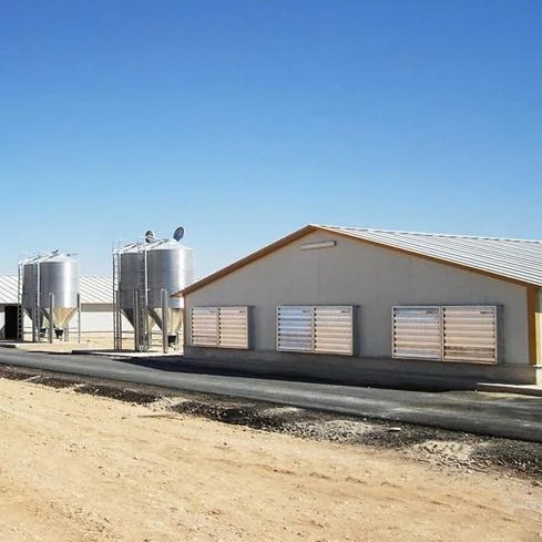 Hot Sale Steel Structural Poultry Farm Laying Hens Used Layer Battery Chicken Cage and  Accessories