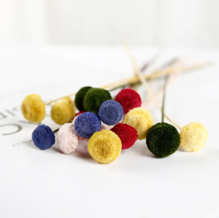 Natural Dried Flowers Preserved Flowers Buttons Chrysanthemum Dried Rattan Reed Sticks