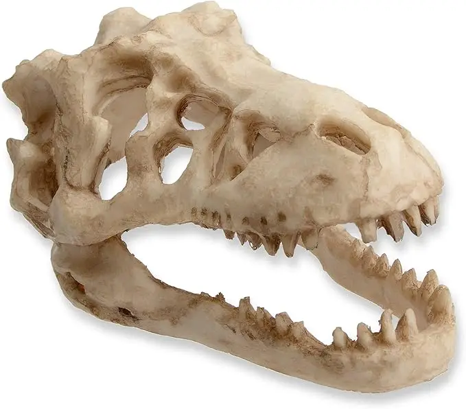Fish Tank Decorations Dinosaur Skull Decor Reptile House Ornament Resin Aquarium Decoration Accessories for Small Betta Fish