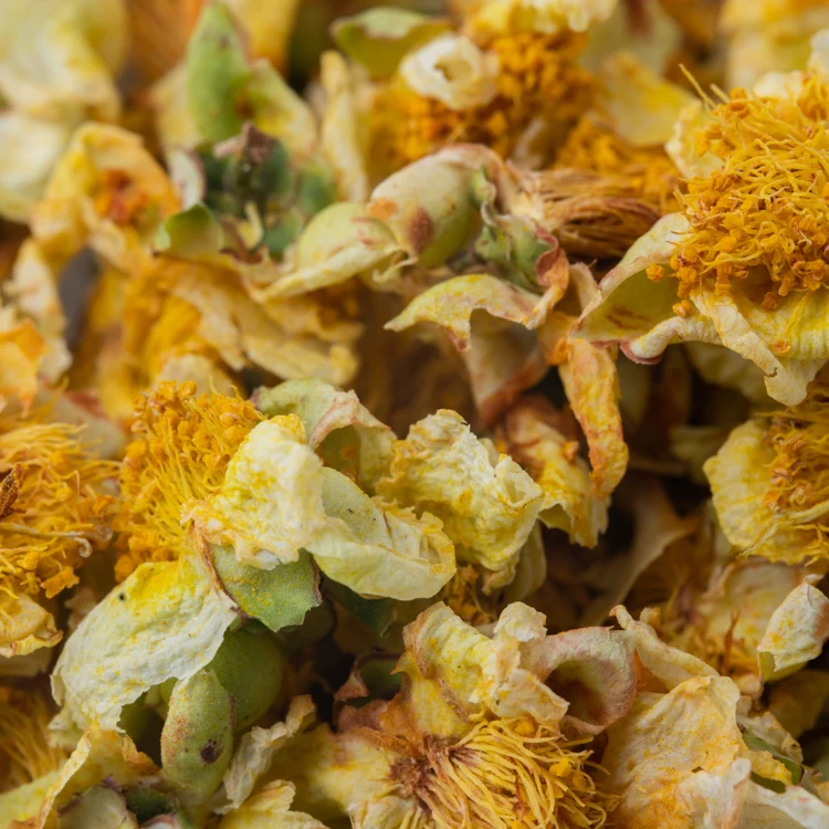 Organic Food Grade Freshly Bulk Loose Tea Dried Camellia Rose Flavor Health-Supporting Herbal Slimming Flower Tea Box Cup